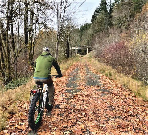 A cyclist rolls down the Willapa Hills Trail in this photograph by Jeremiah Meacham.